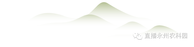 http://www.hqbet4850.com/upfiles/article/20170223124847174717.png